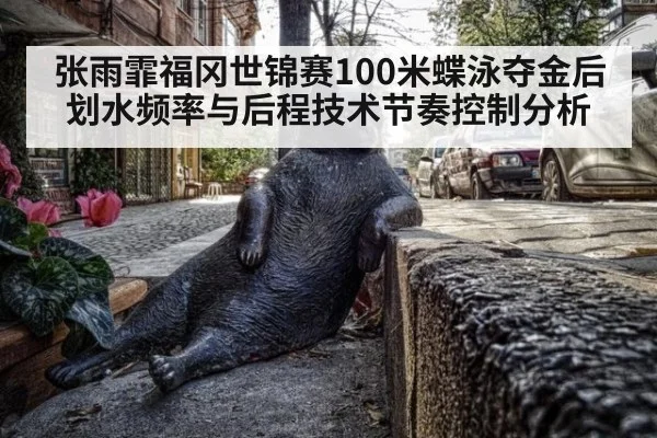 张雨霏福冈世锦赛100米蝶泳夺金后划水频率与后程技术节奏控制分析 - kaiyun